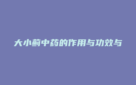 大小蓟中药的作用与功效与作用