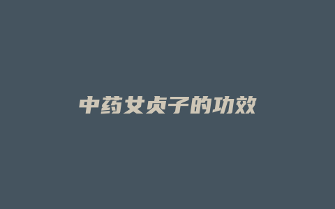 中药女贞子的功效
