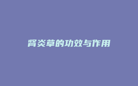 肾炎草的功效与作用