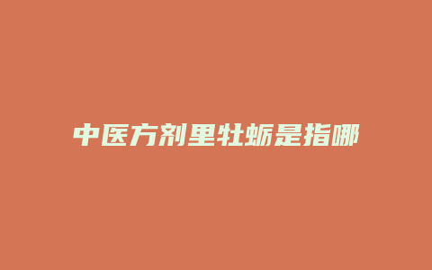 中医方剂里牡蛎是指哪