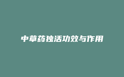 中草药独活功效与作用