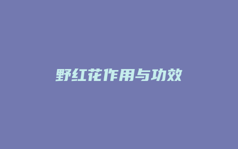 野红花作用与功效