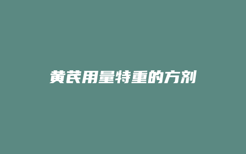 黄芪用量特重的方剂