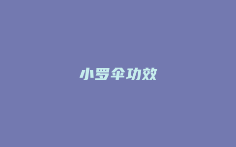 小罗伞功效