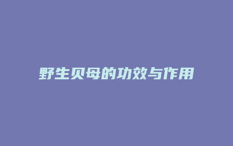 野生贝母的功效与作用