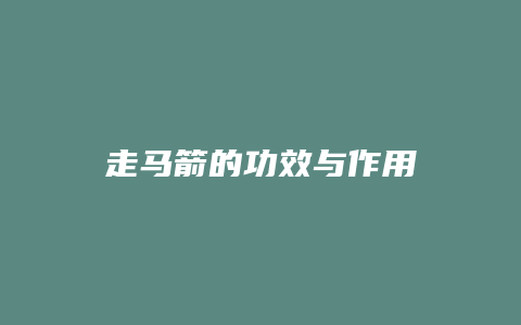 走马箭的功效与作用