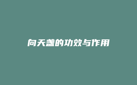 向天盏的功效与作用