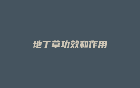 地丁草功效和作用