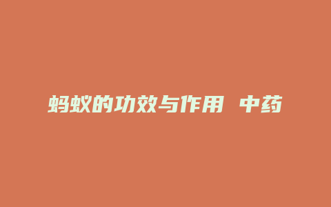 蚂蚁的功效与作用 中药