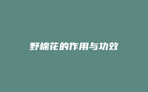 野棉花的作用与功效