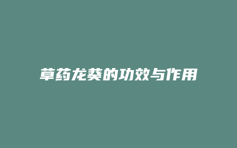 草药龙葵的功效与作用