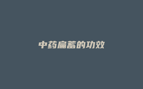 中药扁蓄的功效