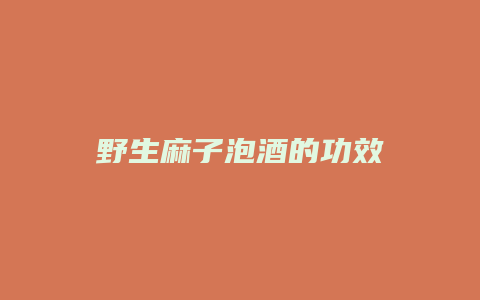 野生麻子泡酒的功效