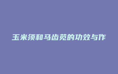 玉米须和马齿苋的功效与作用及禁忌