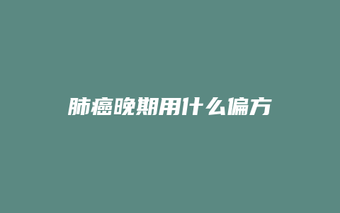 肺癌晚期用什么偏方