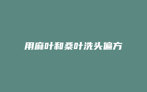 用麻叶和桑叶洗头偏方