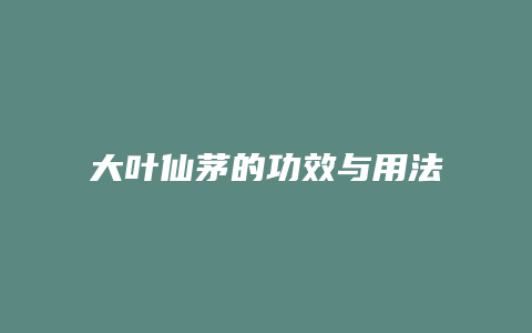大叶仙茅的功效与用法