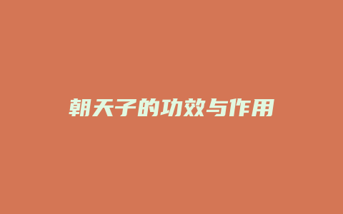 朝天子的功效与作用