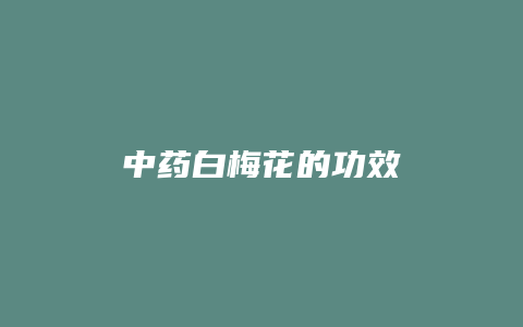 中药白梅花的功效