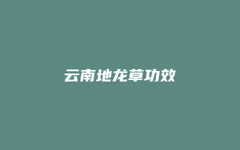 云南地龙草功效