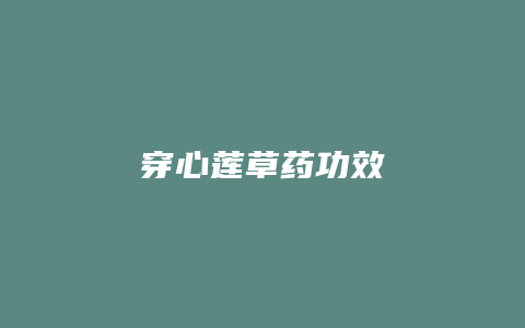 穿心莲草药功效