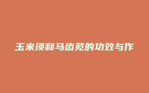 玉米须和马齿苋的功效与作用