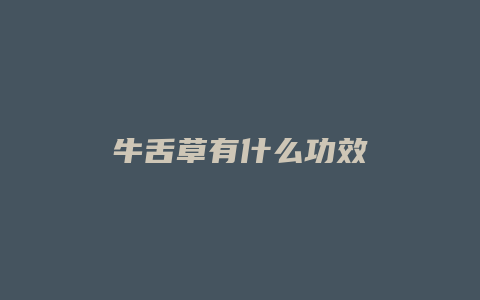牛舌草有什么功效