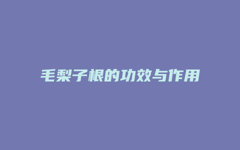 毛梨子根的功效与作用