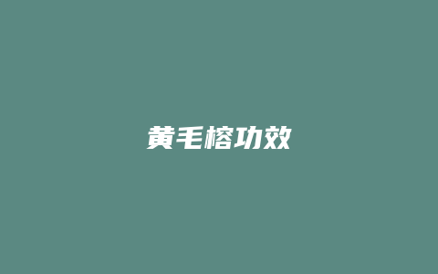 黄毛榕功效