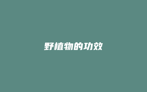 野植物的功效