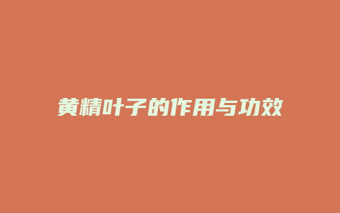 黄精叶子的作用与功效