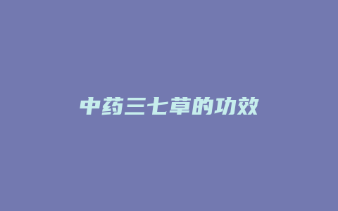 中药三七草的功效