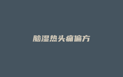 脑湿热头痛偏方