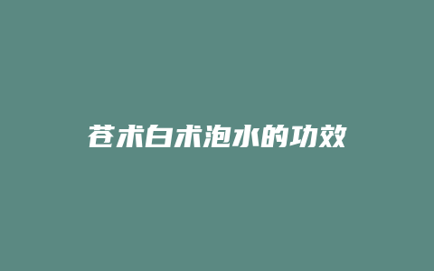 苍术白术泡水的功效