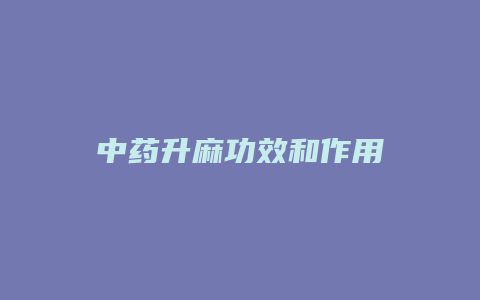 中药升麻功效和作用