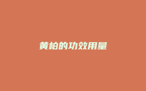 黄柏的功效用量