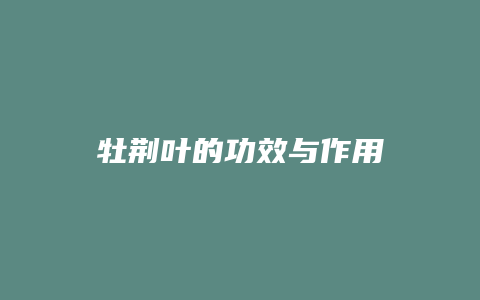 牡荆叶的功效与作用
