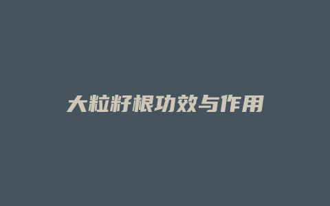 大粒籽根功效与作用