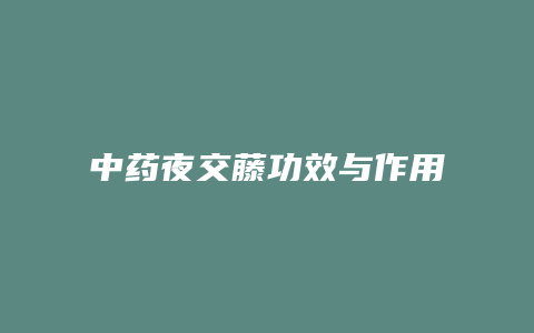 中药夜交藤功效与作用