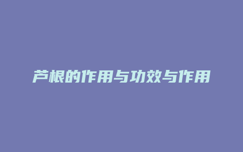 芦根的作用与功效与作用