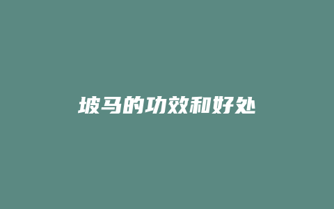 坡马的功效和好处