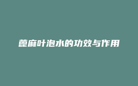 蓖麻叶泡水的功效与作用