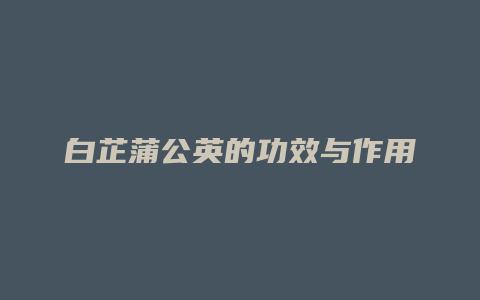 白芷蒲公英的功效与作用