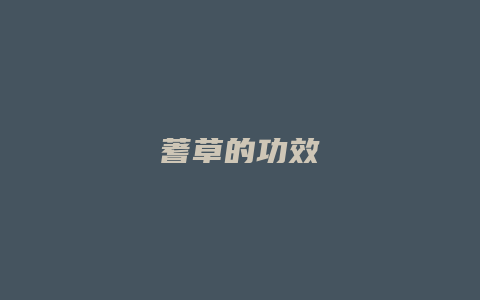 蓍草的功效
