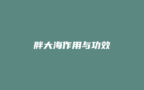 胖大海作用与功效
