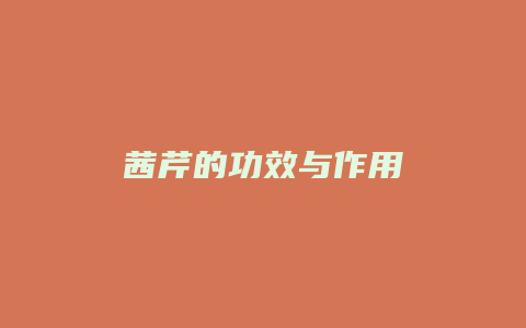茜芹的功效与作用