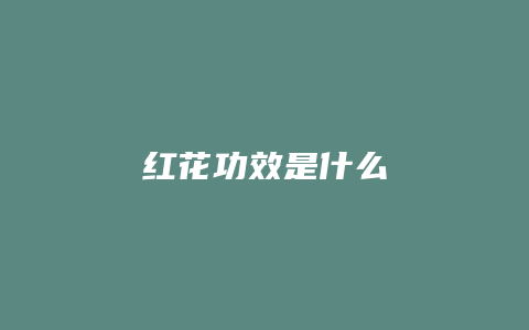 红花功效是什么
