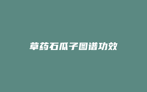 草药石瓜子图谱功效