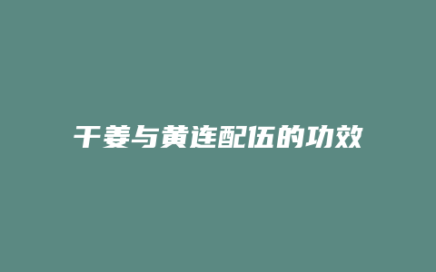 干姜与黄连配伍的功效