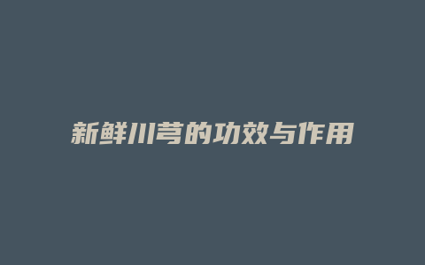 新鲜川芎的功效与作用